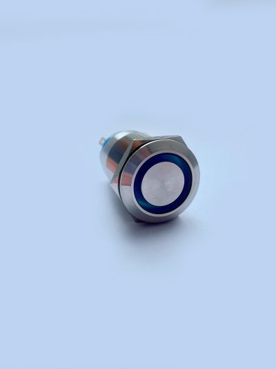 Pushbutton ON-OFF switch