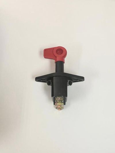 Heavy-duty mass switch 